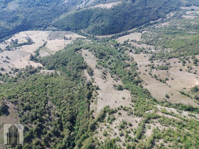 Kuvvet Den Kavak Göçebede Takasa Açık 49.179m2 Satılık Tarla — fotoğraf 12