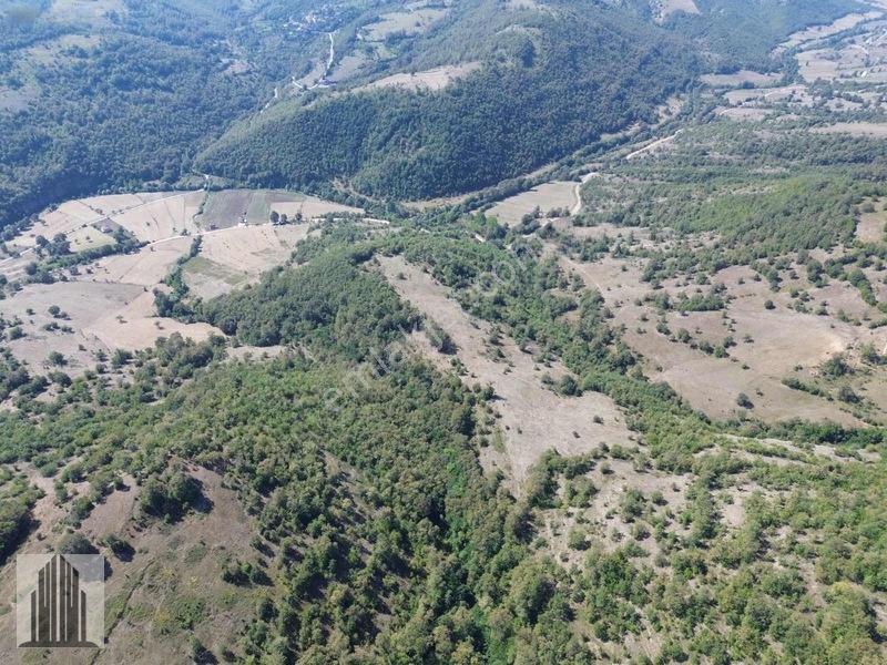 Kuvvet Den Kavak Göçebede Takasa Açık 49.179m2 Satılık Tarla — fotoğraf 14