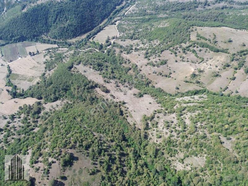 Kuvvet Den Kavak Göçebede Takasa Açık 49.179m2 Satılık Tarla — fotoğraf 15