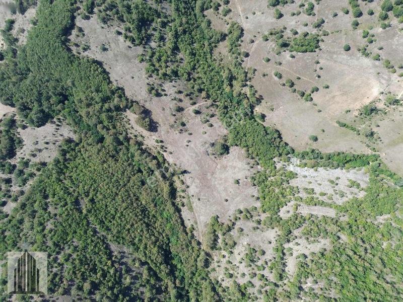 Kuvvet Den Kavak Göçebede Takasa Açık 49.179m2 Satılık Tarla — fotoğraf 16