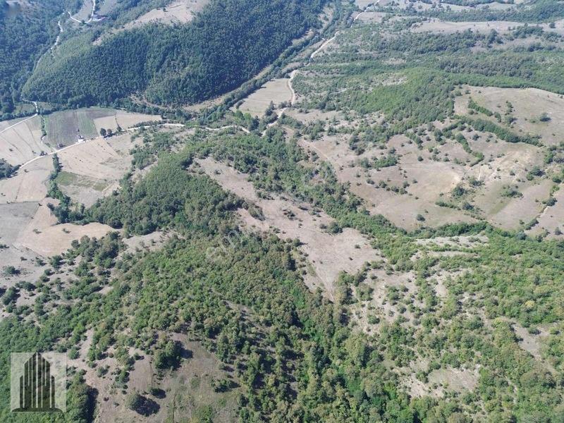 Kuvvet Den Kavak Göçebede Takasa Açık 49.179m2 Satılık Tarla — fotoğraf 18