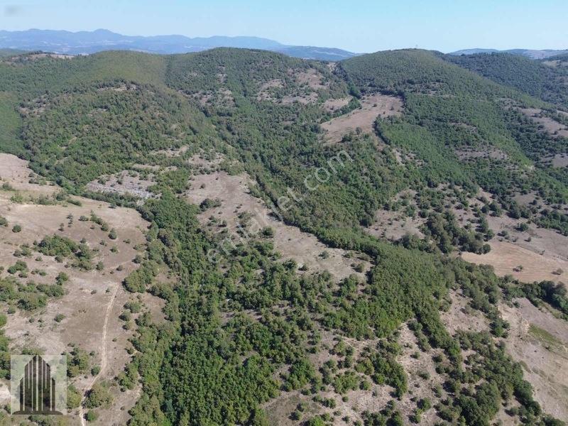 Kuvvet Den Kavak Göçebede Takasa Açık 49.179m2 Satılık Tarla — fotoğraf 20