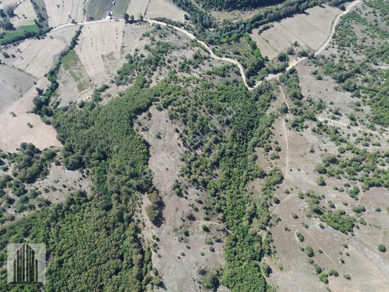 Kuvvet Den Kavak Göçebede Takasa Açık 49.179m2 Satılık Tarla — fotoğraf 22