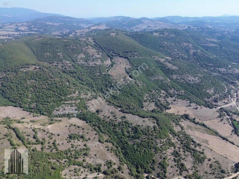 Kuvvet Den Kavak Göçebede Takasa Açık 49.179m2 Satılık Tarla — fotoğraf 23