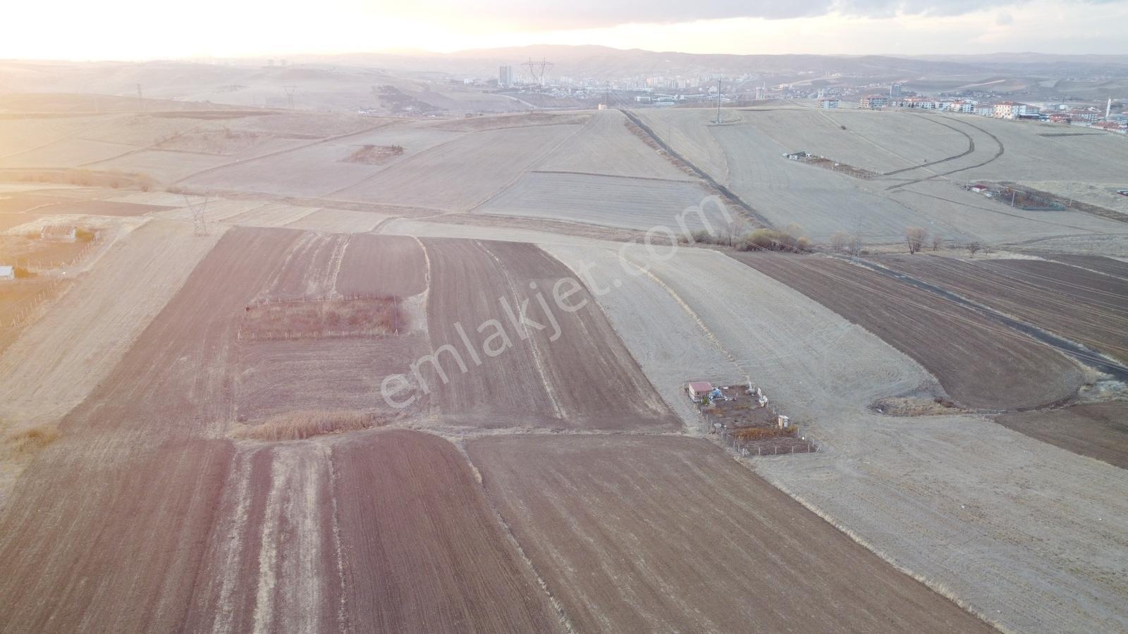 *-*altınova Da İmara Sınır 958 (802ada2) Parsel 210 Metre--* — fotoğraf 11