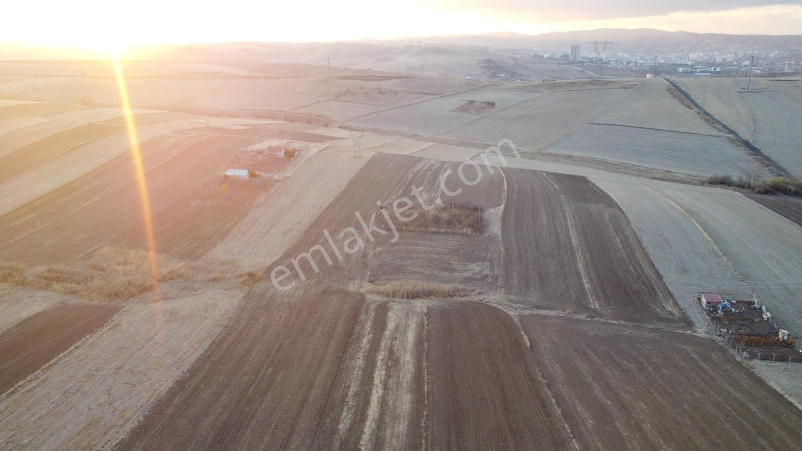*-*altınova Da İmara Sınır 958 (802ada2) Parsel 210 Metre--* — fotoğraf 12