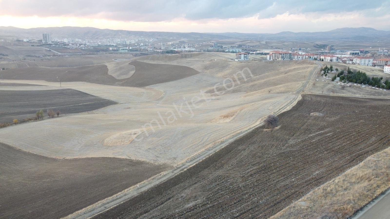 *-*altınova Da İmara Sınır 958 (802ada2) Parsel 210 Metre--* — fotoğraf 23