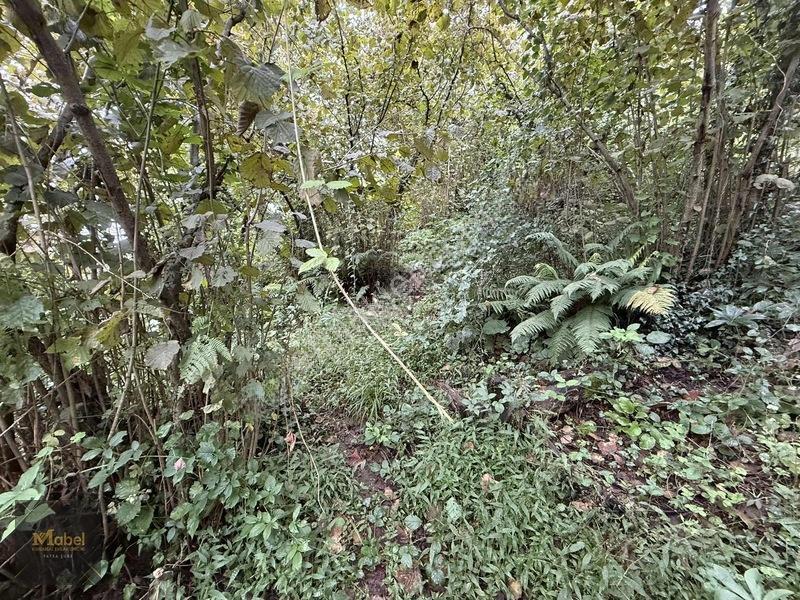Mabel'den Kurtuluş Mahalesinde Satılık Konut İmarlı 273 M2 Arsa — fotoğraf 5