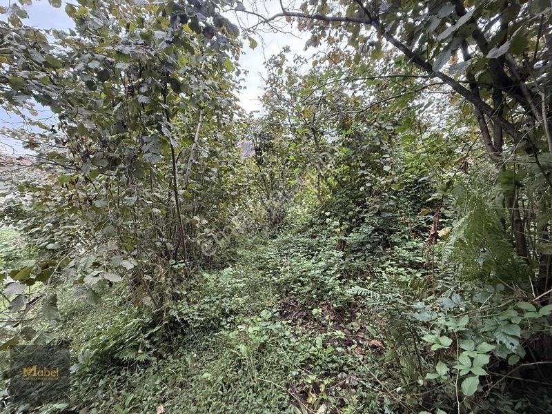 Mabel'den Kurtuluş Mahalesinde Satılık Konut İmarlı 273 M2 Arsa — fotoğraf 6