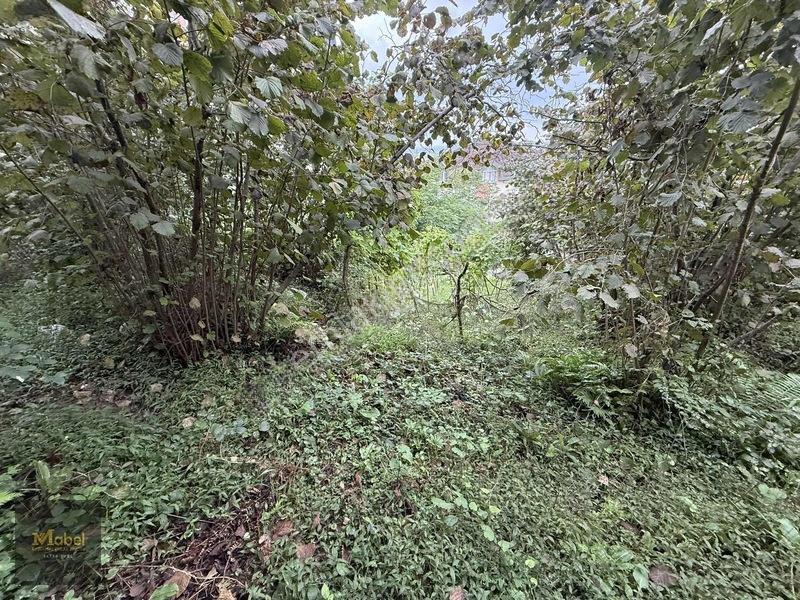 Mabel'den Kurtuluş Mahalesinde Satılık Konut İmarlı 273 M2 Arsa — fotoğraf 7