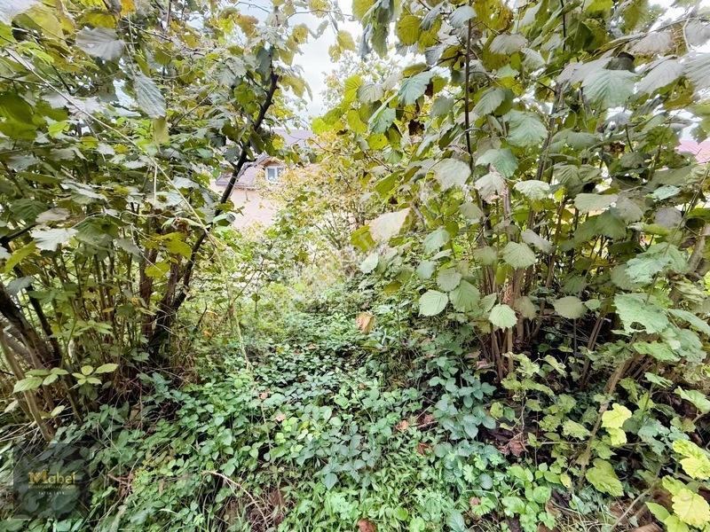 Mabel'den Kurtuluş Mahalesinde Satılık Konut İmarlı 273 M2 Arsa — fotoğraf 8