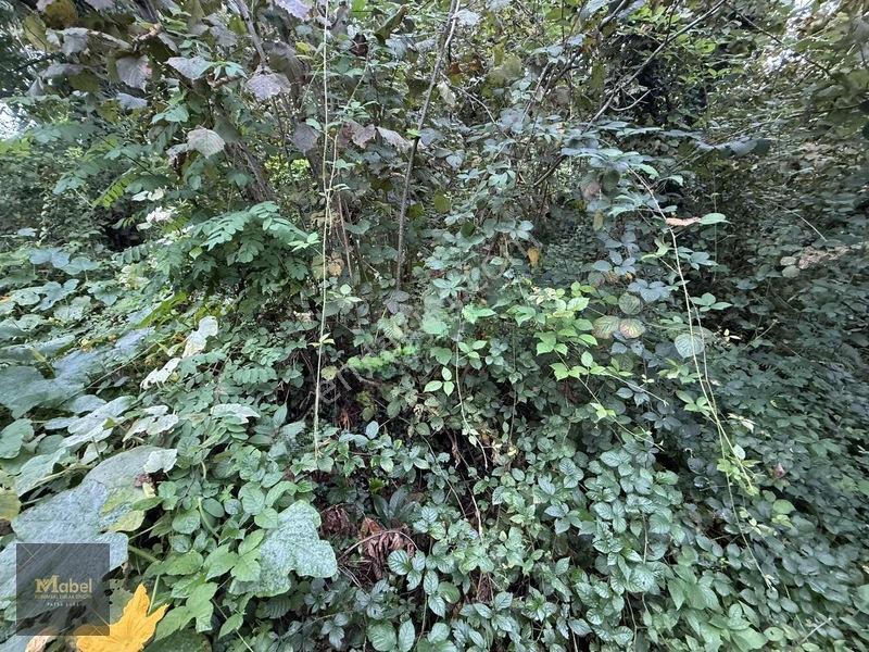 Mabel'den Kurtuluş Mahalesinde Satılık Konut İmarlı 273 M2 Arsa — fotoğraf 10