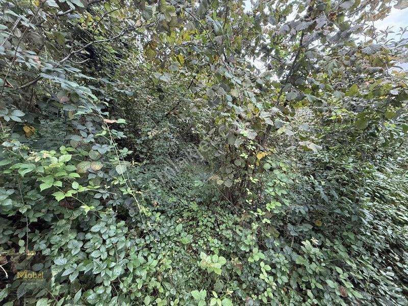 Mabel'den Kurtuluş Mahalesinde Satılık Konut İmarlı 273 M2 Arsa — fotoğraf 11