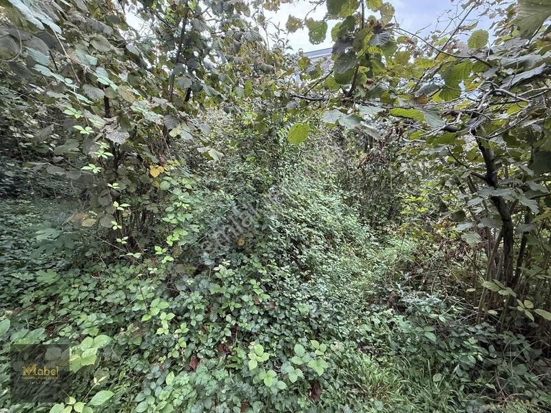 Mabel'den Kurtuluş Mahalesinde Satılık Konut İmarlı 273 M2 Arsa — fotoğraf 12