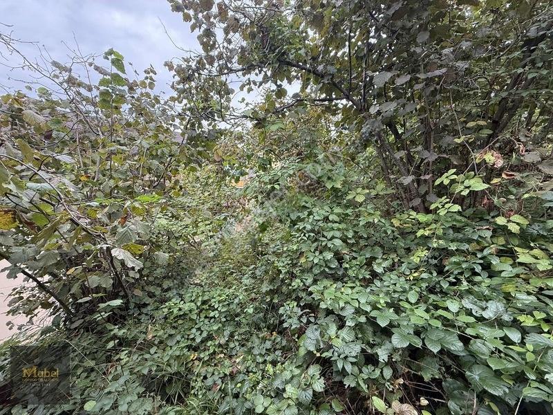Mabel'den Kurtuluş Mahalesinde Satılık Konut İmarlı 273 M2 Arsa — fotoğraf 13
