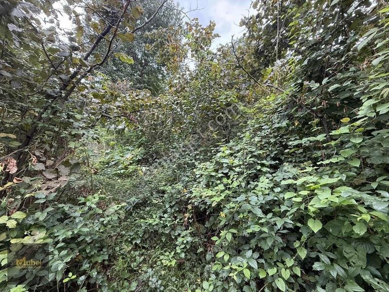 Mabel'den Kurtuluş Mahalesinde Satılık Konut İmarlı 273 M2 Arsa — fotoğraf 14