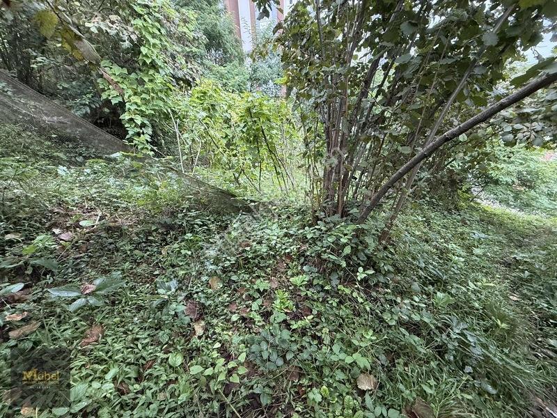 Mabel'den Kurtuluş Mahalesinde Satılık Konut İmarlı 273 M2 Arsa — fotoğraf 15