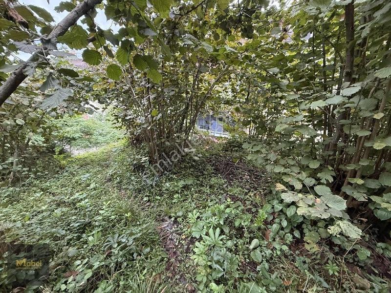Mabel'den Kurtuluş Mahalesinde Satılık Konut İmarlı 273 M2 Arsa — fotoğraf 16