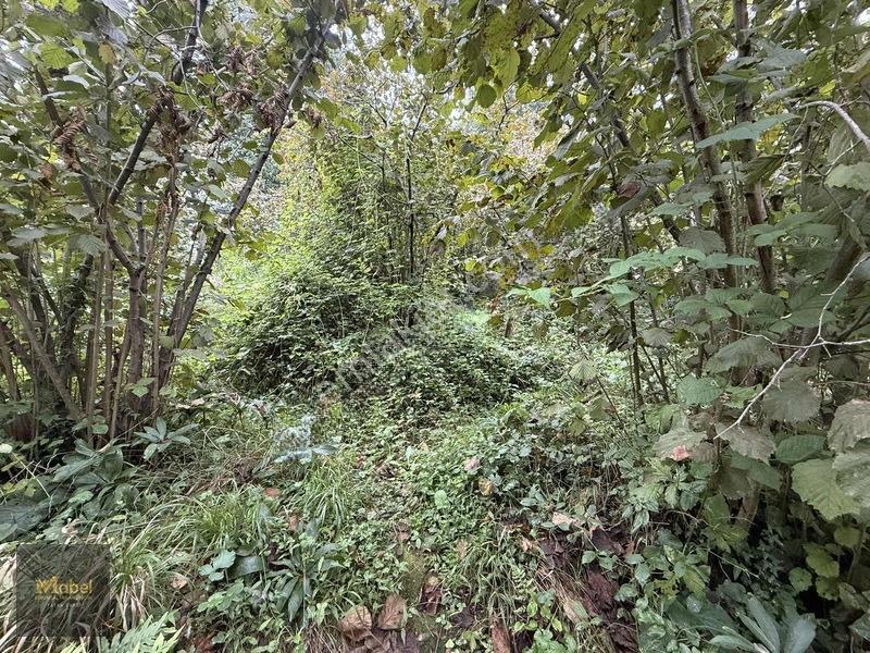 Mabel'den Kurtuluş Mahalesinde Satılık Konut İmarlı 273 M2 Arsa — fotoğraf 17