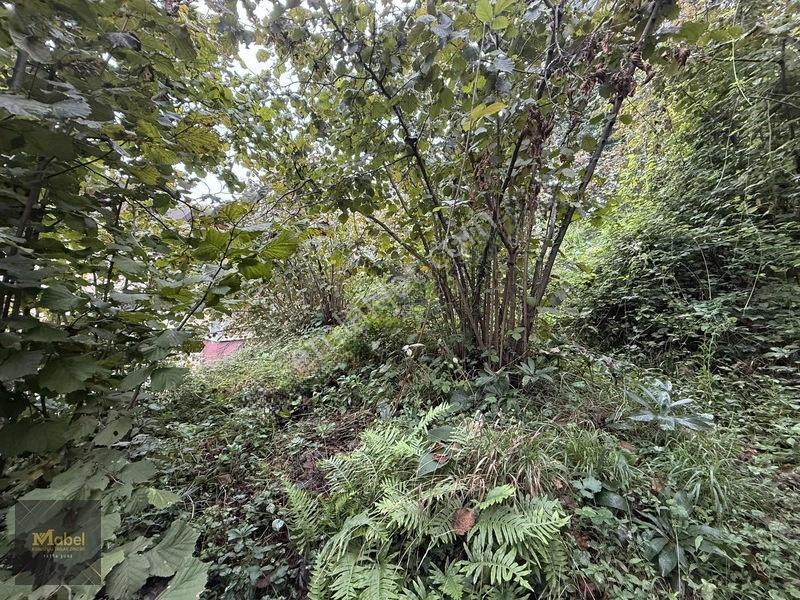 Mabel'den Kurtuluş Mahalesinde Satılık Konut İmarlı 273 M2 Arsa — fotoğraf 18