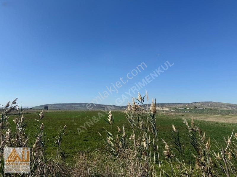 Menemen Seyrekte Cadde Üzerinde Satılık Tarla — fotoğraf 2