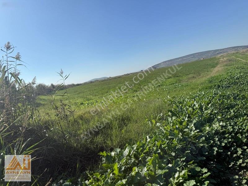 Menemen Seyrekte Cadde Üzerinde Satılık Tarla — fotoğraf 3