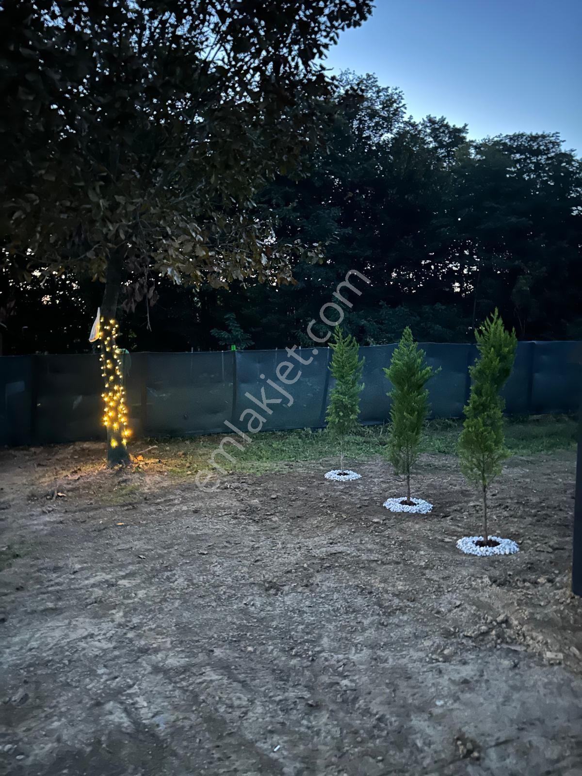 Kubilay Emlaktan Satılık Terme Bazlamaç Mah.bungolav — fotoğraf 2