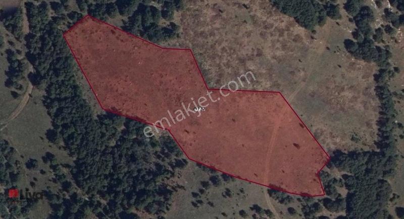Rw Liva'dan Bilecik/bozüyük' Te Yatırımlık Fırsat Tarla — fotoğraf 3