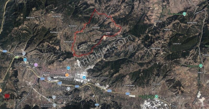Rw Liva'dan Bilecik/bozüyük' Te Yatırımlık Fırsat Tarla — fotoğraf 10