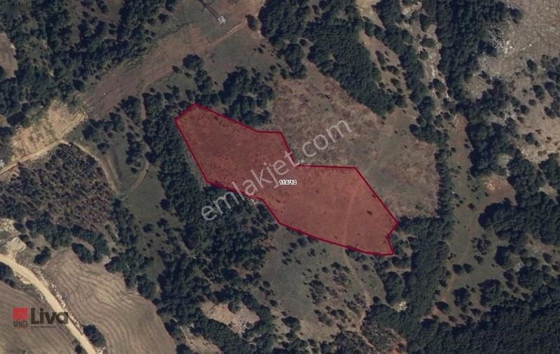Rw Liva'dan Bilecik/bozüyük' Te Yatırımlık Fırsat Tarla — fotoğraf 29