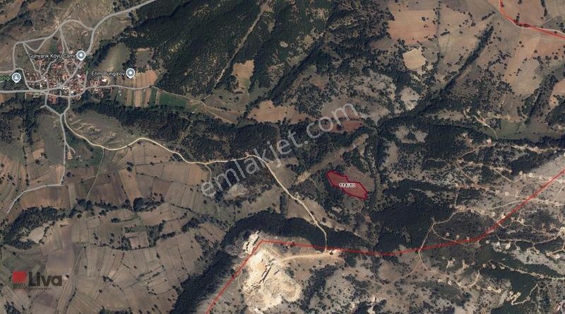 Rw Liva'dan Bilecik/bozüyük' Te Yatırımlık Fırsat Tarla — fotoğraf 30