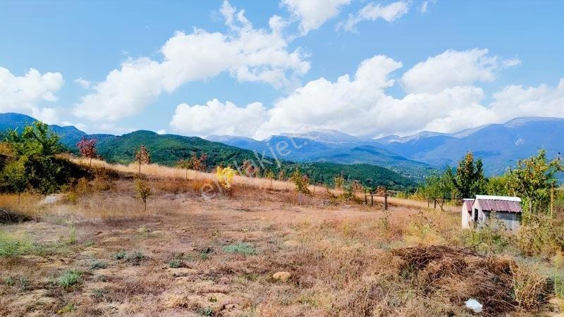 Bursa İnegöl Paşaören De Satlık Arsa 4.300 — fotoğraf 3