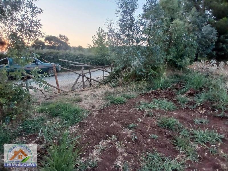 Bulut Emlak'tan Ula Çörüşte Yol Cepheli Satılık Arazi — fotoğraf 2