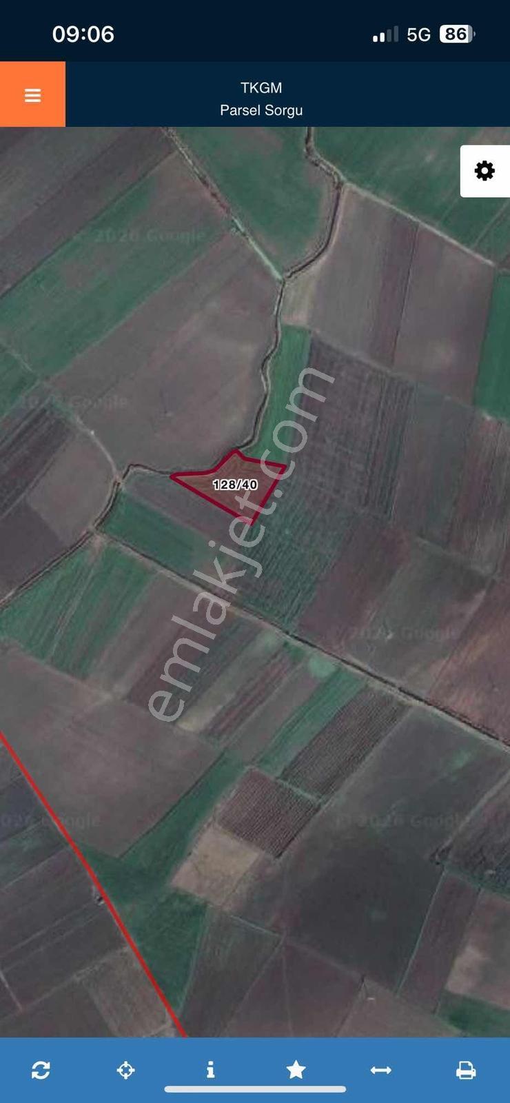Bergama Yeniköy 7.680 M2 Tarla — fotoğraf 2