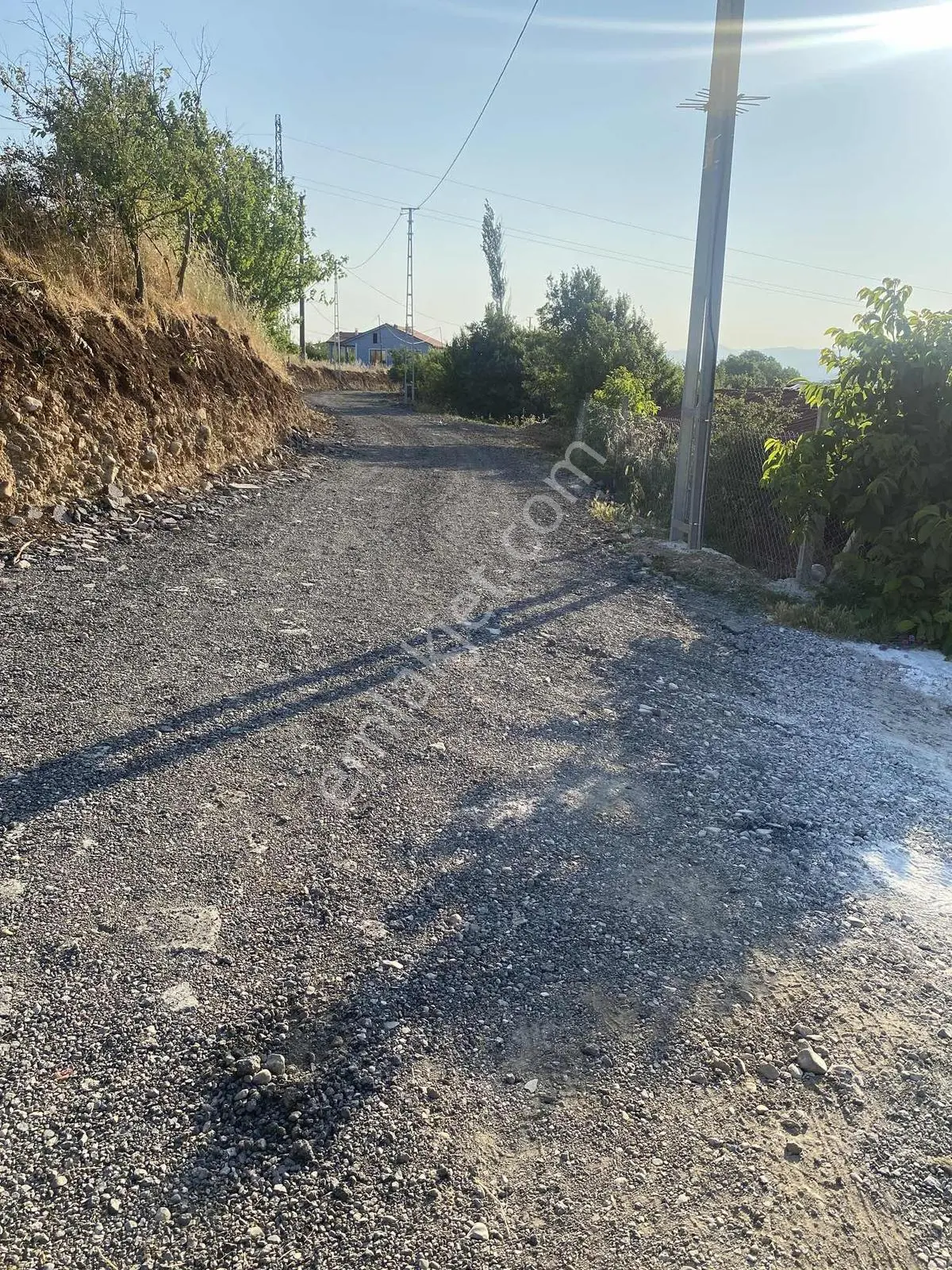 Sakaryada Bu Fiyata Böyle Çiftlik Yok...acil ..acill — fotoğraf 3