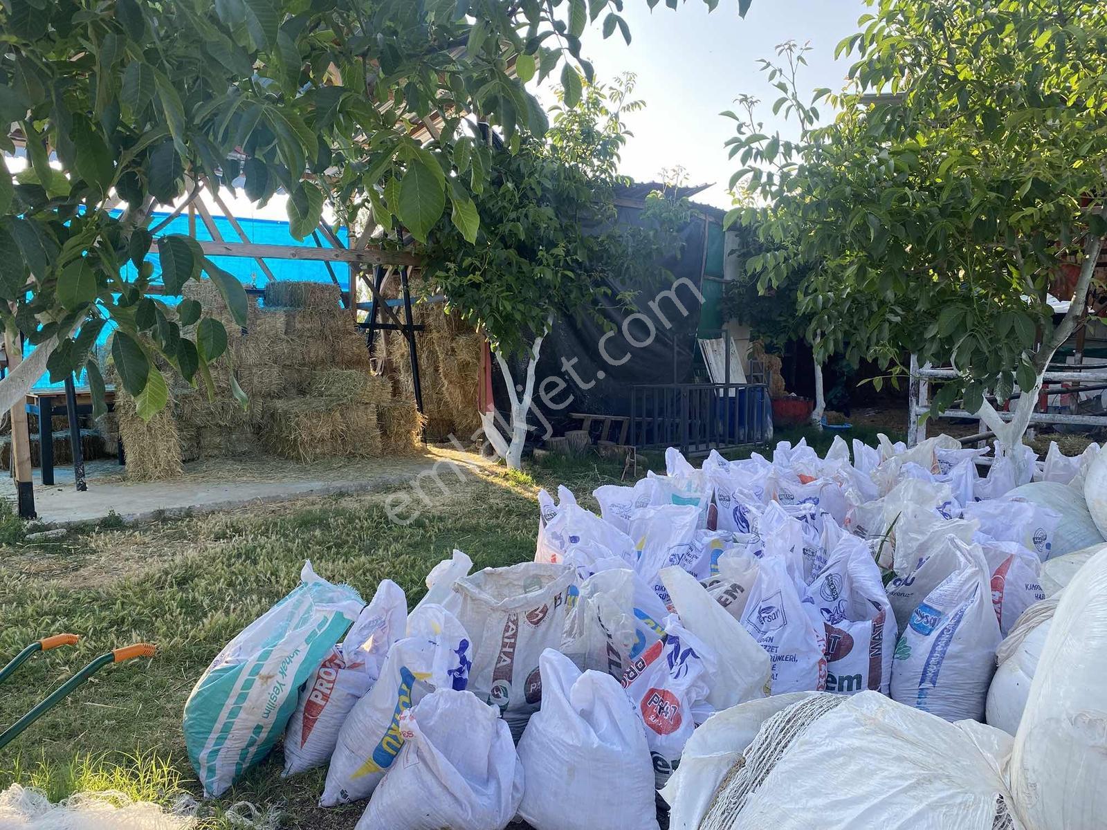 Sakaryada Bu Fiyata Böyle Çiftlik Yok...acil ..acill — fotoğraf 20