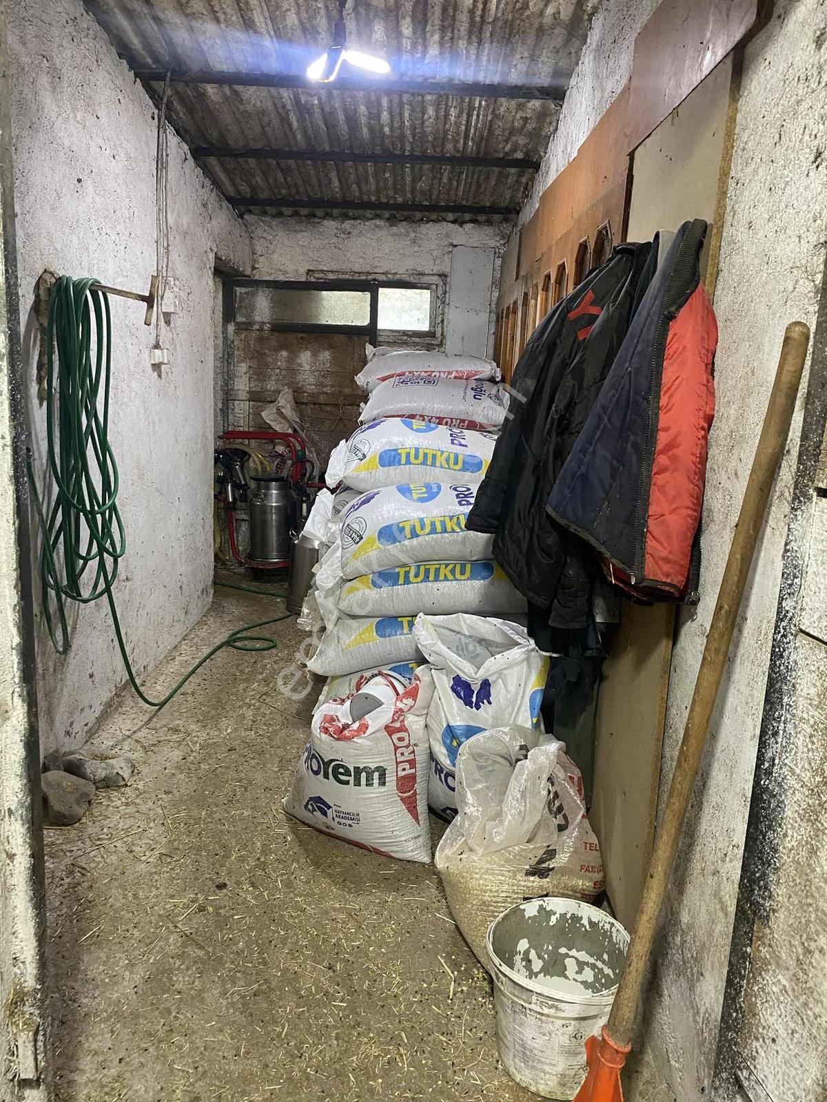 Sakaryada Bu Fiyata Böyle Çiftlik Yok...acil ..acill — fotoğraf 21