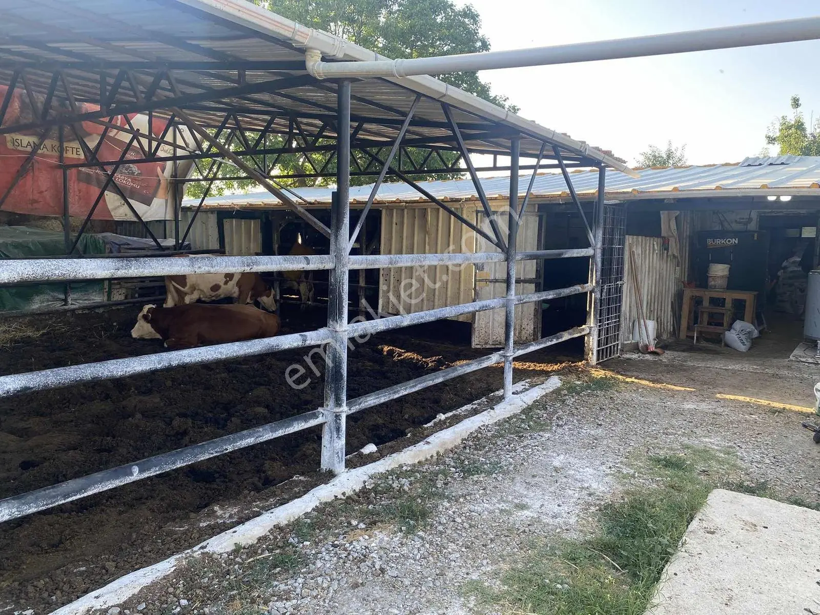 Sakaryada Bu Fiyata Böyle Çiftlik Yok...acil ..acill — fotoğraf 26