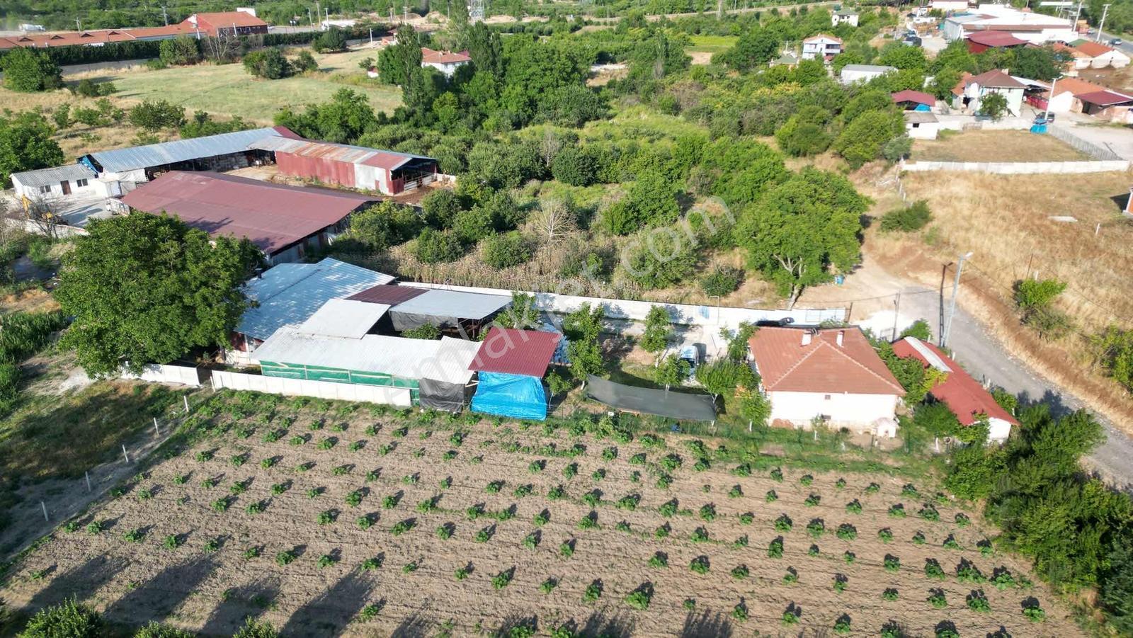 Sakaryada Bu Fiyata Böyle Çiftlik Yok...acil ..acill — fotoğraf 27