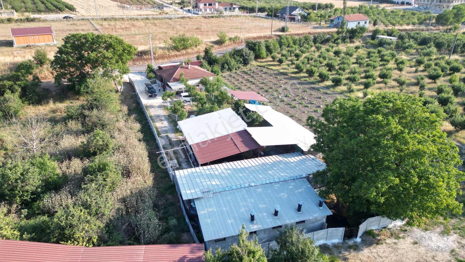 Sakaryada Bu Fiyata Böyle Çiftlik Yok...acil ..acill — fotoğraf 29