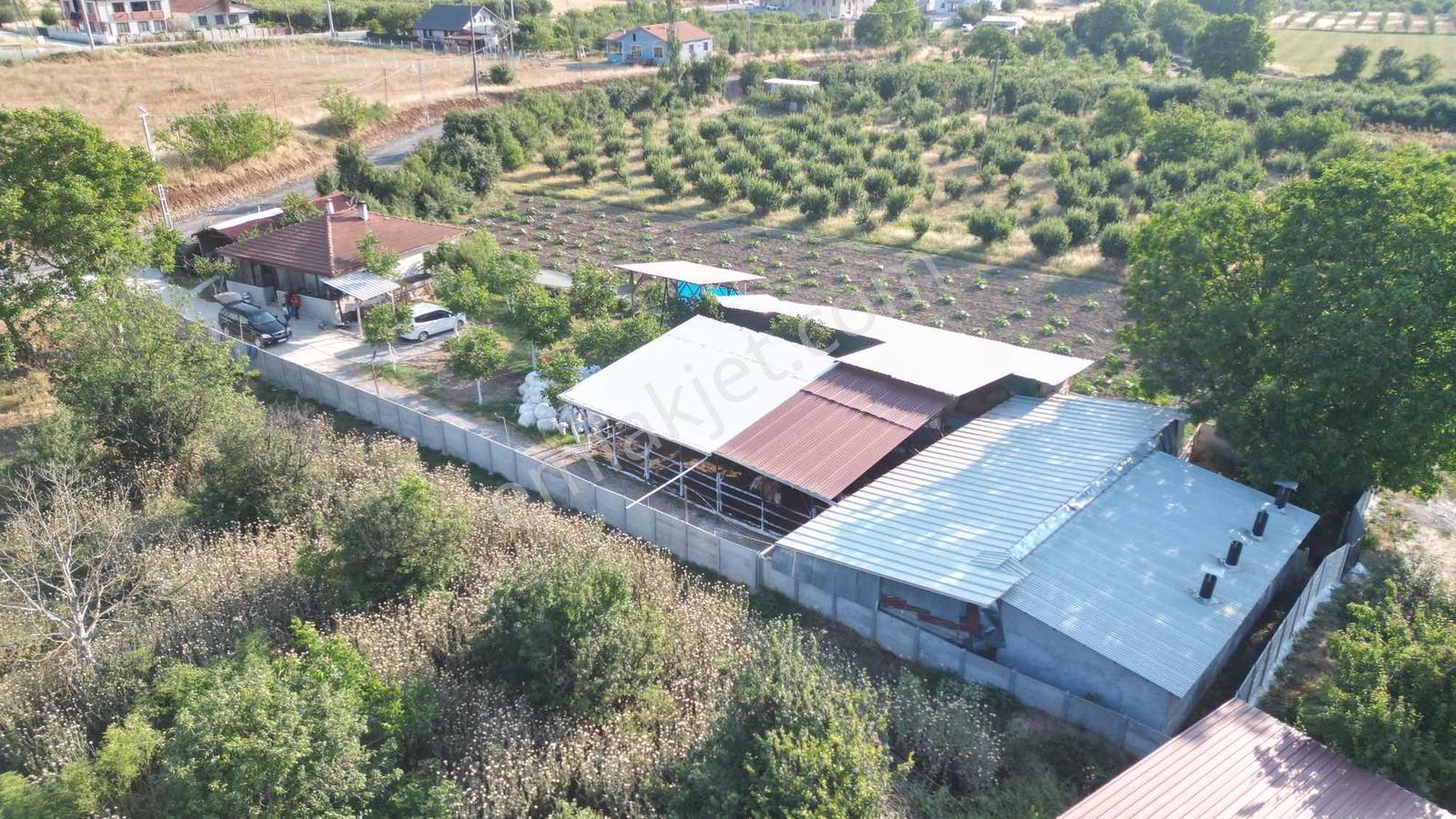 Sakaryada Bu Fiyata Böyle Çiftlik Yok...acil ..acill — fotoğraf 30