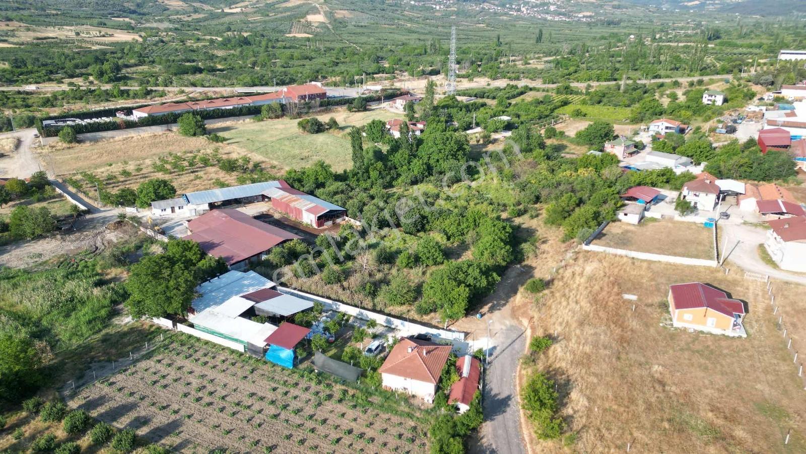Sakaryada Bu Fiyata Böyle Çiftlik Yok...acil ..acill — fotoğraf 31