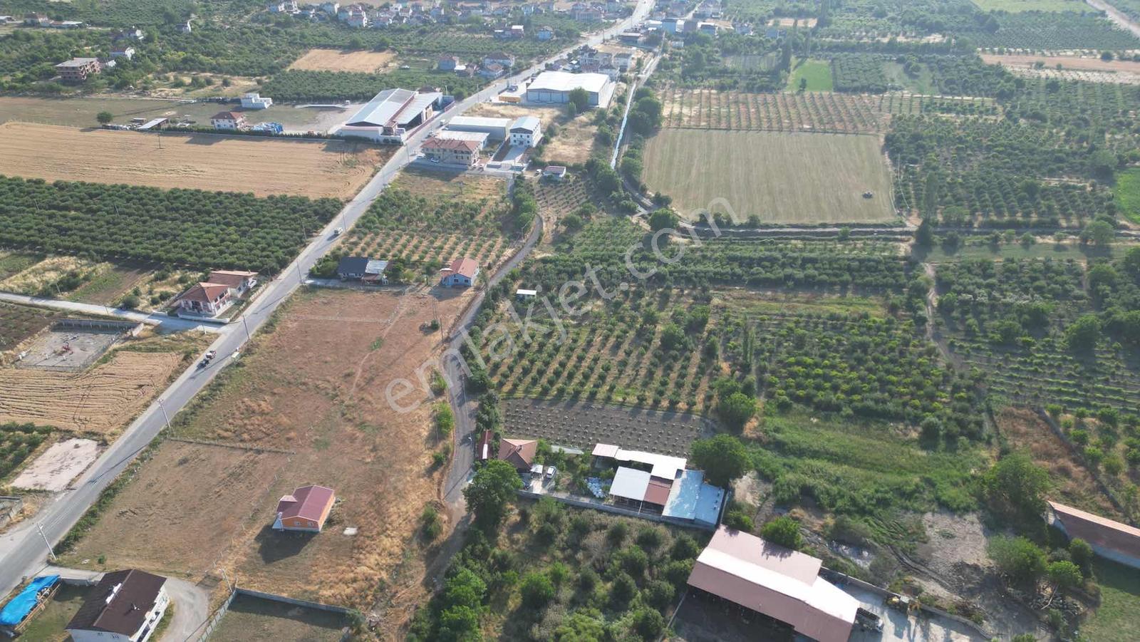 Sakaryada Bu Fiyata Böyle Çiftlik Yok...acil ..acill — fotoğraf 32