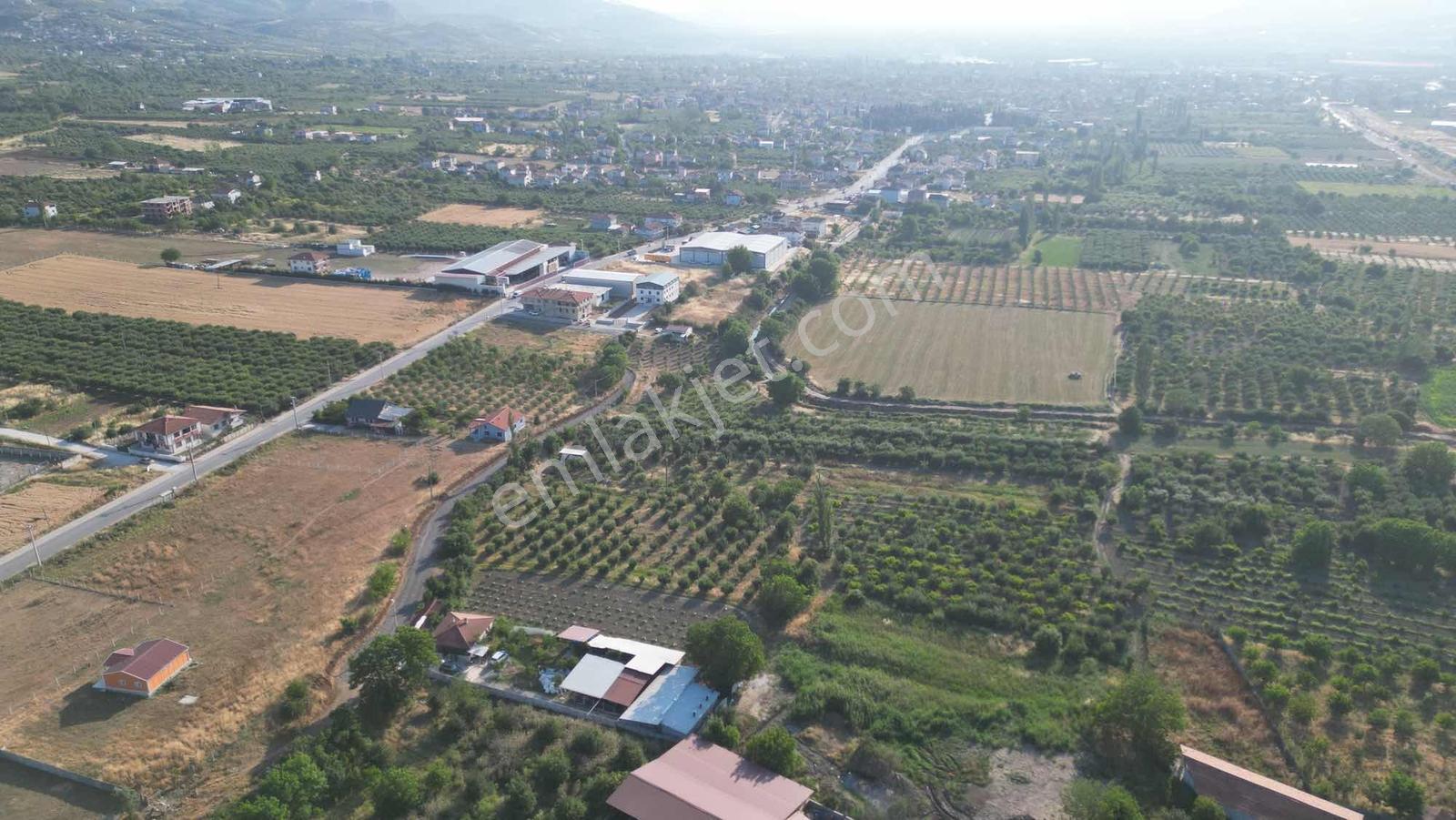 Sakaryada Bu Fiyata Böyle Çiftlik Yok...acil ..acill — fotoğraf 34
