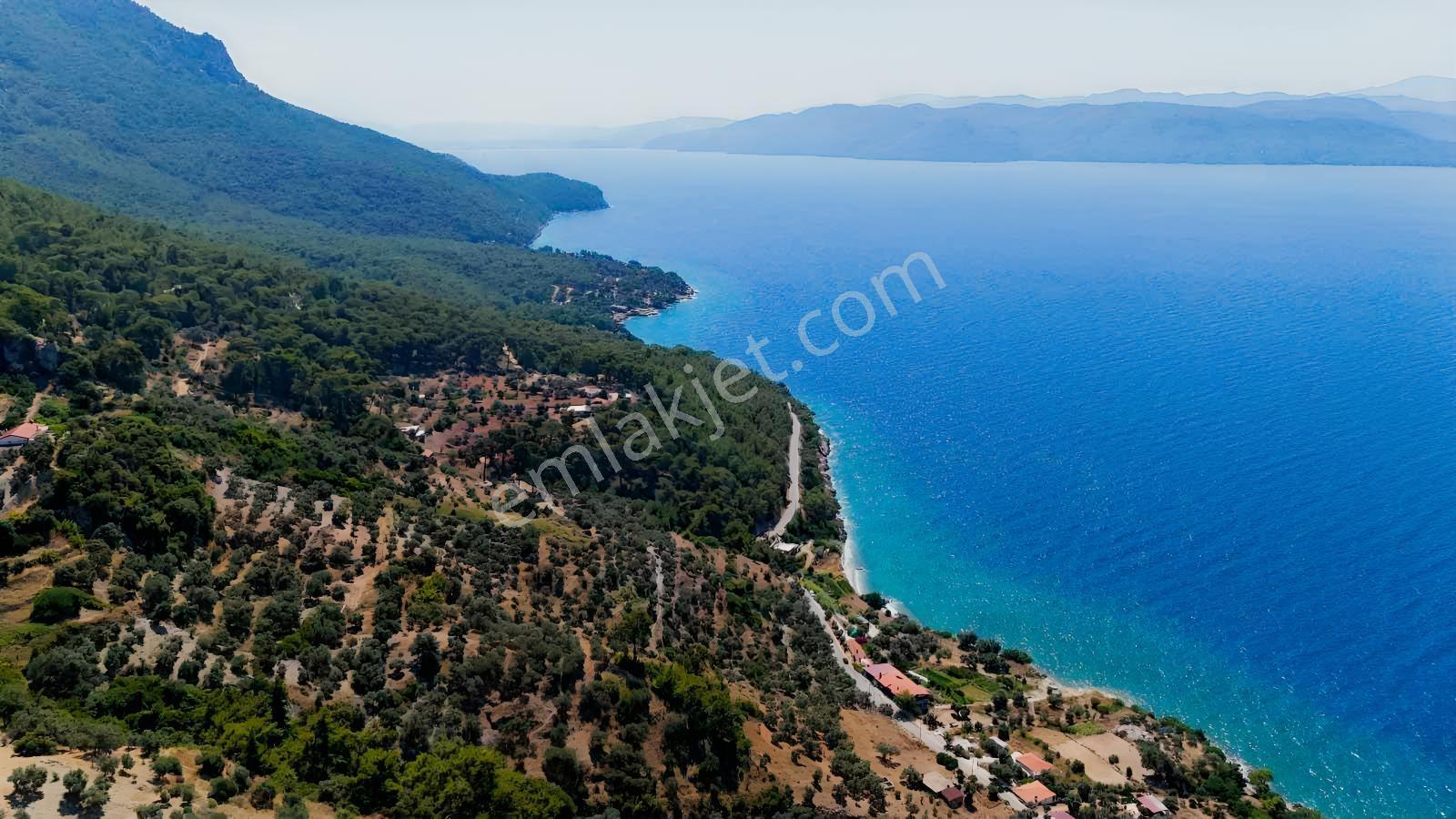Kıranda Deniz Manzaralı Satılık Tarla — fotoğraf 7