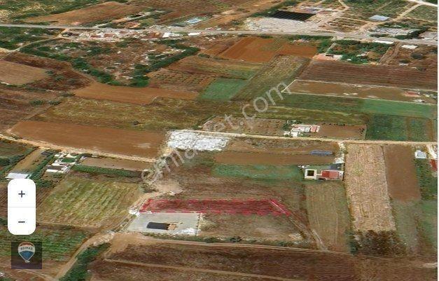Çeşme Germiyan’da Müstakil Tapulu 1 Dönüm Düz Tarla — fotoğraf 6