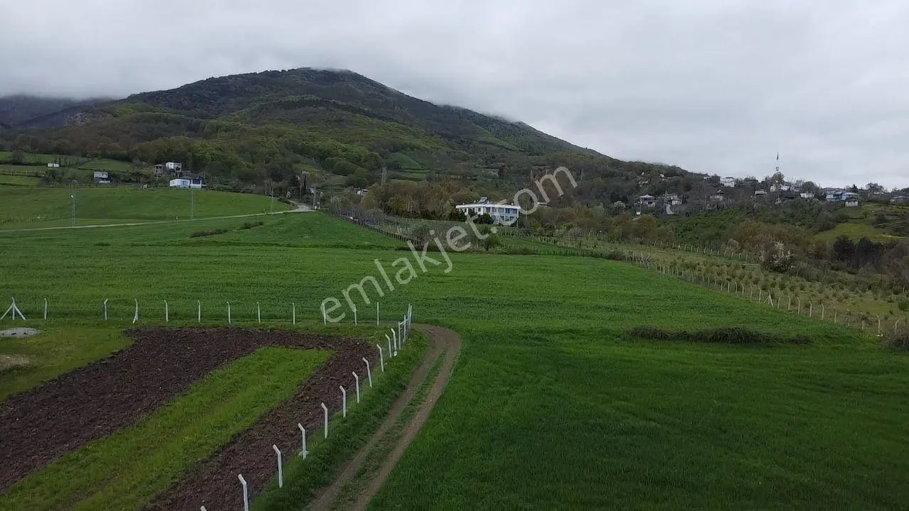 Can Emlak'tan Yukarı Aksu'da Satılık Tarla — fotoğraf 4