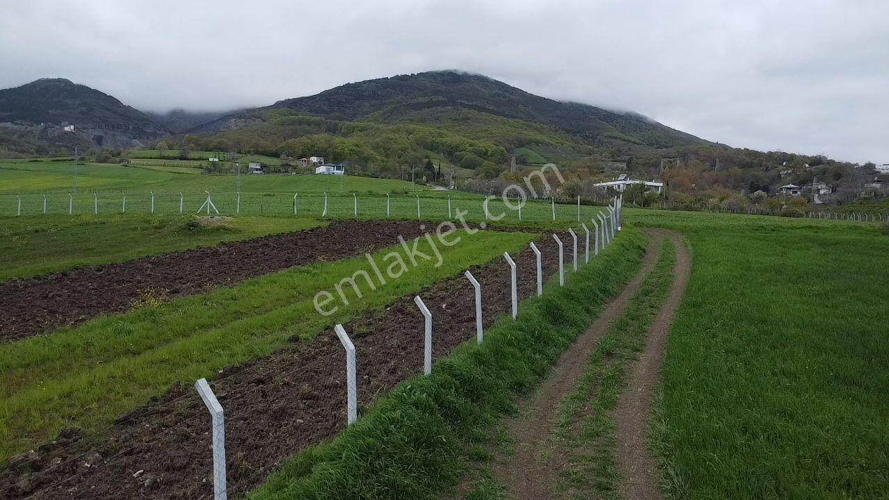 Can Emlak'tan Yukarı Aksu'da Satılık Tarla — fotoğraf 6