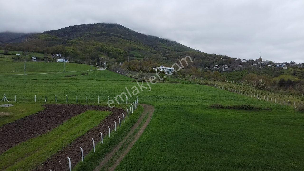 Can Emlak'tan Yukarı Aksu'da Satılık Tarla — fotoğraf 12