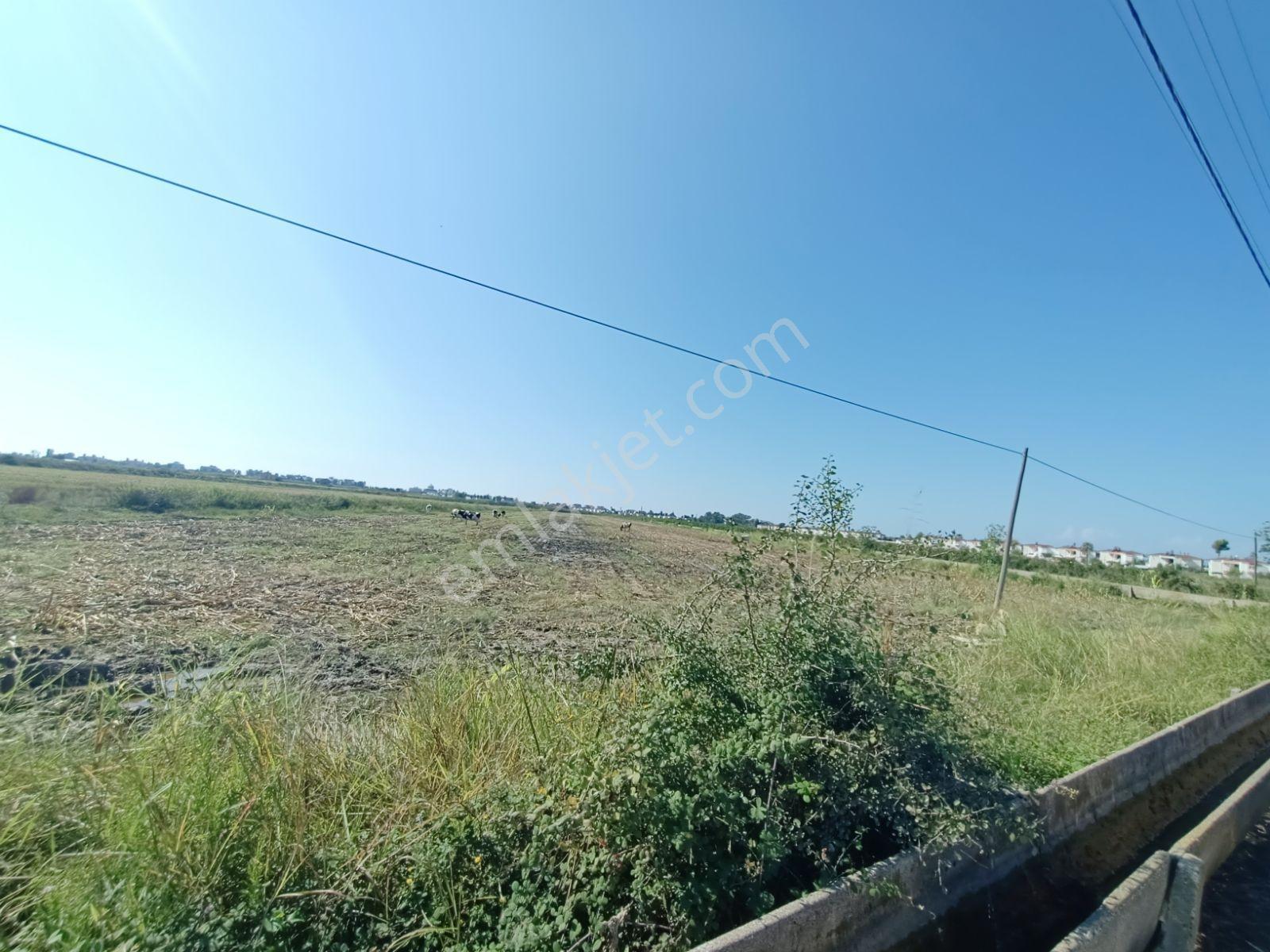 Antalya Serik Boğazkent İmara Yakın 2070 M2 Tapulu Satılık Tarla — fotoğraf 3